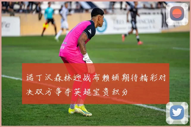 诺丁汉森林迎战布赖顿期待精彩对决双方争夺英超宝贵积分