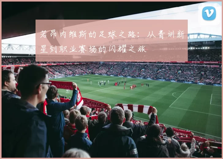 若昂内维斯的足球之路：从青训新星到职业赛场的闪耀之旅